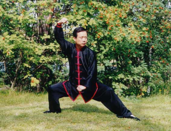 Taijiquan, Wang Fengming